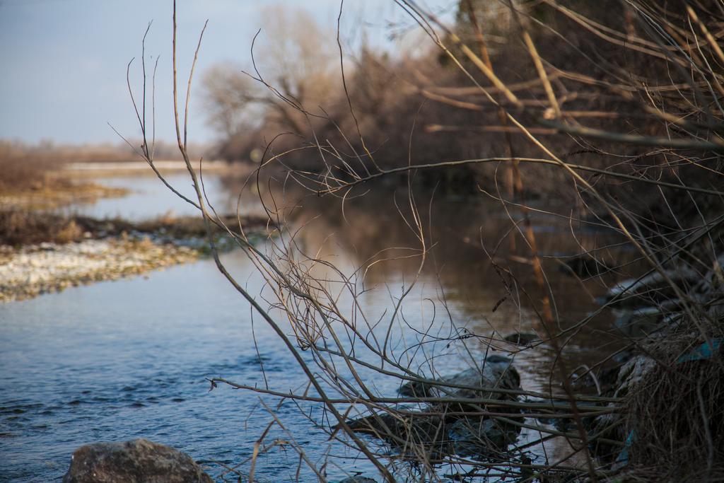 ホテル Al Glorioso Piave Maserada sul Piave エクステリア 写真